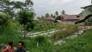 Read more about the article Kegiatan Bercocok Tanam Anak YSI Cabang D.I. Yogyakarta